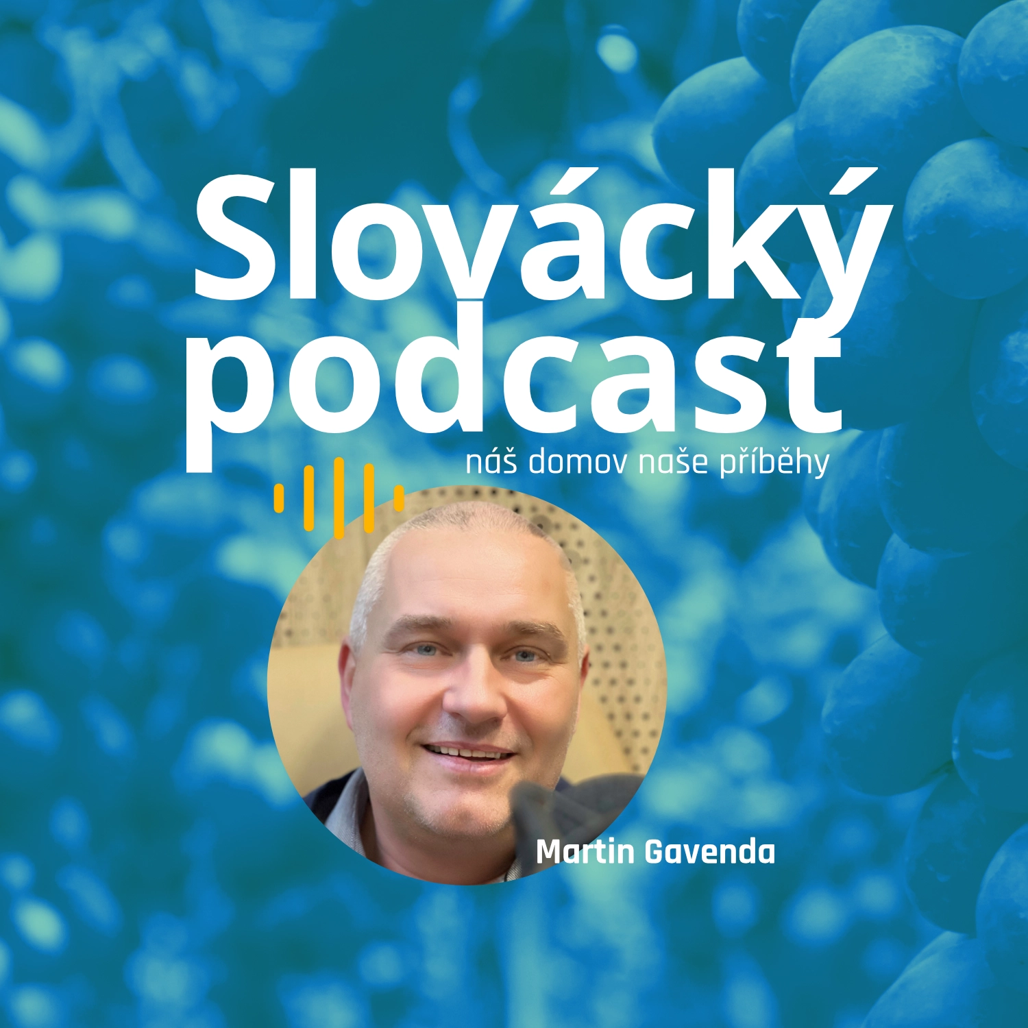 Slovácký podcast - Martin Gavenda